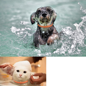 Minerva fabrica TPR extractos de plantas naturales mascota perro gato calmante <span class=keywords><strong>Collar</strong></span> de larga duración 60 días accesorios impermeables para mascotas - Product Image 5