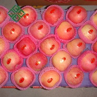 Rode Fuji Apple Verse Apple Met China Leverancier