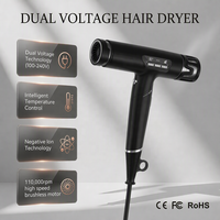 Sèche-cheveux ionique professionnel à double tension, sans balais, haute vitesse, BLDC, idéal pour les voyages, avec diffuseur