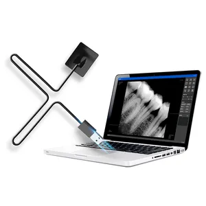 Directo de fábrica Precio barato Oral APS CMOS X-Ray Sistema de imagen intraoral Digital Dental RVG Xray Sensor HDR 500