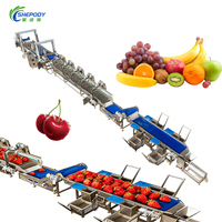 Automatische droogfruitwaslijn voor druiven, cranberries, frambozen, drakenvruchten; op maat gemaakte fruitreinigings- en drooglijn