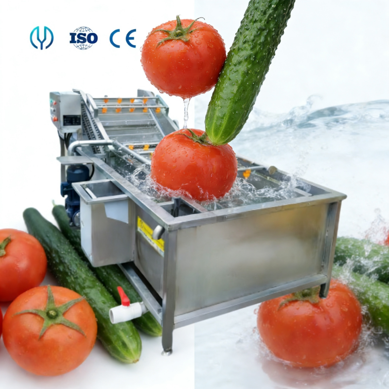 Multi functional Food Air Bubble Washing