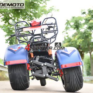 Omologato cee Street Legal Fast <span class=keywords><strong>Speed</strong></span> <span class=keywords><strong>3</strong></span> ruote anteriore 2 ruote tipo Scooter elettrico per moto - Product Image 3