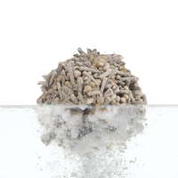 Nouveautés Original Flavor Cat House Only Pellets de bois de pin Litière pour chat