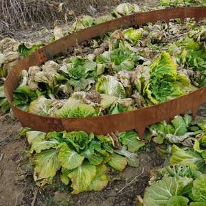 Art Deco Corten Steel Lawn <b>Edging</b> <b>Strips</b> for Garden Landscape Waterproof & Weather Resistant Customizable Outdoor Ornament - Product Image 1