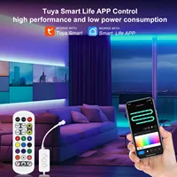 Tira de luz LED SPI COB Tuya Wifi Kit RGB direccionable Arco Iris Color RGBIC cinta LED para decoración del hogar App Alexa Google Voice Control