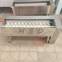 Kleine commerciële eierwasmachine met borstel, automatische reiniging & droging, 304 roestvrij staal voor verse eieren