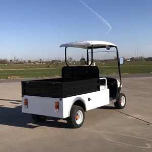 Carro de caza eléctrico de 2 asientos, vehículo todoterreno con cesta trasera, coche utilitario, Mini coche de carga de aluminio