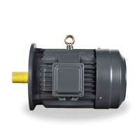 Moteur à induction triphasé étanche 18,5 kW 25 CV à réponse rapide pour réservoir agitateur