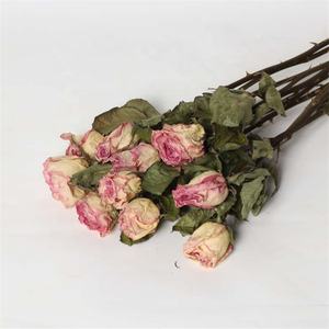 Bouquet <span class=keywords><strong>de</strong></span> Roses séchées naturelles, 100 pièces, bon marché, vraies fleurs séchées, avec tige - Product Image 6