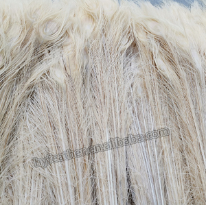 Plume de paon naturelle blanche pour fête carnaval maison pièce maîtresse noël vacances décor bricolage artisanat Floral Costume - Product Image 2