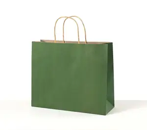 Recycelbar Anpassen Grün Schöne Geschenk papier Pack Tasche Günstige Pflaume Kraft Papiertüten mit Griffen