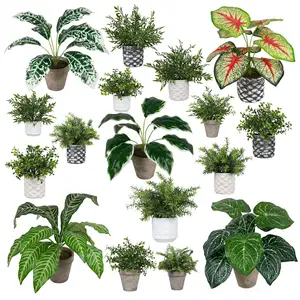 Paradise Palm Outdoor Indoor Home Ornamental Small Large Big Fake Potted Plante Tree Artificial Kwai Palm Tree Plants para la venta