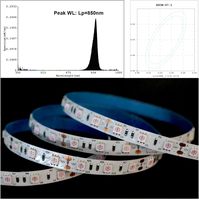 Bande LED 5050 SMD 12V 24V 10mm à longueur d'onde proche infrarouge 850nm pour chauffage thérapeutique, compresse chaude, surveillance de sécurité, culture de plantes