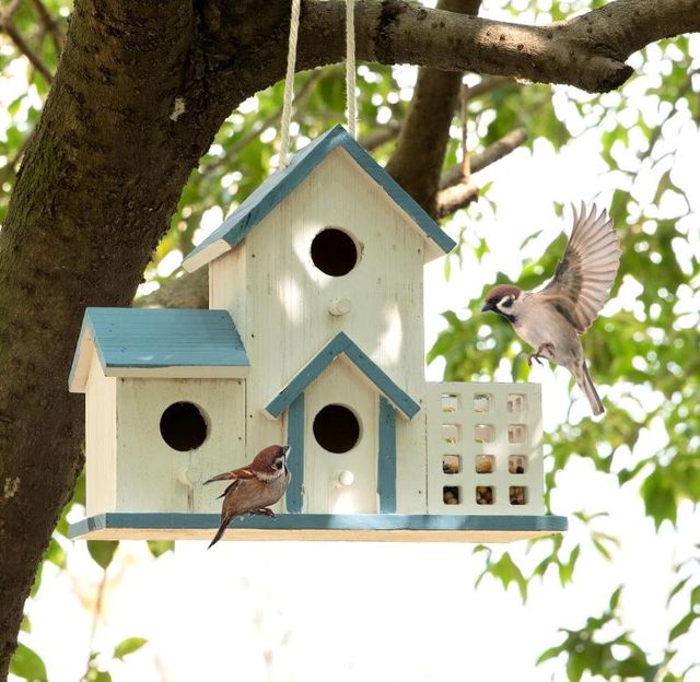Factory Bestseller Premium Eco-Friendly Wood Bluebird Houses 3 Hole Durable Birdhouses for Outdoor Use Hanging Attract Beautiful
