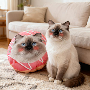 หมอนอิงรูปทรงแปลกตา พิมพ์ภาพดิจิทัล 3 มิติ  หมอนอิงตุ๊กตาขนนุ่ม  หมอนอิงแบบกล่อง  หมอนอิงสั่งทำพิเศษ  หมอนอิงขนนุ่มสบาย - Product Image 1