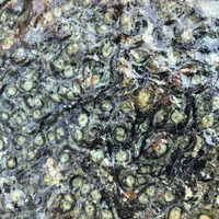 Vente en gros de pierre de cristal naturelle Kambaba de Madagascar de haute qualité pierre brute avec pierre Kambaba brute de style Feng Shui