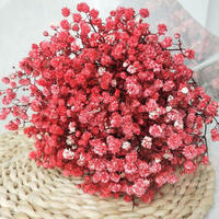 Fleurs de Gypsophile Séchées Naturelles Longue Durée Écologiques pour Décoration de Mariage, Fêtes et Remise de Diplômes