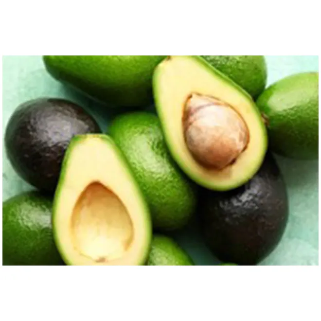 Wholesale Fresh Premium Avocado From Mexico - High Quality, Best Price, Directly From Producers