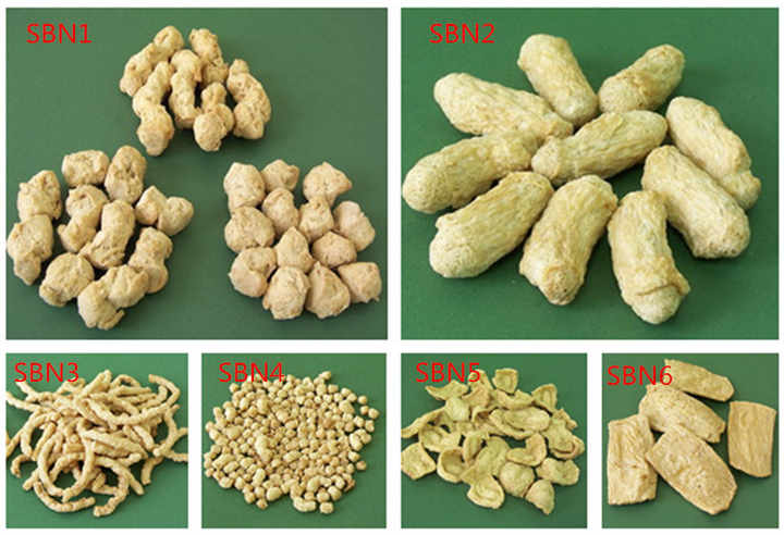 New TVP High Moisture Twin Screw Food Extruder Vegetarian Vegan Meat Production Line Making Machine