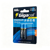 Piles sèches en gros AAA 1,5 V LR03/AM4, piles alcalines de qualité supérieure pour claviers sans fil/thermomètres numériques