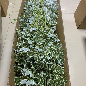 LE-417 85cm Branche artificielle de Schefflera à feuilles variées effet parapluie, tige de verdure pour remplissage vert DIY - Product Image 1