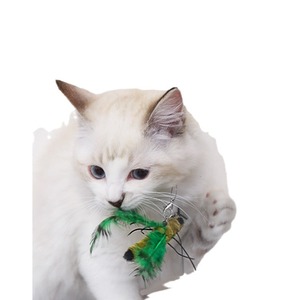 Juguete para Gatos Afp, Resistente a Mordidas, con Cabeza Reemplazable, Dispositivo de Juego Interactivo para Gatitos 22T0406MN010 - Product Image 2