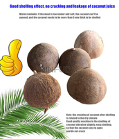 Machine à haute productivité pour l'élimination des coques de noix de coco / Séparateur de coques de noix de coco / Machine à décortiquer les noix de coco