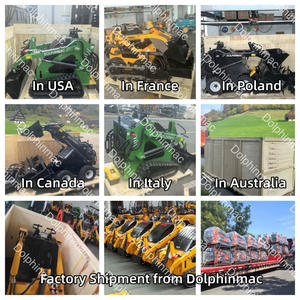 DPS-S360 Skid Steer Diesel Roda Kecil Mini Skid Steer <span class=keywords><strong>Loader</strong></span> dengan Forestry Mulcher Mini <span class=keywords><strong>Loader</strong></span> untuk Pertanian - Product Image 6