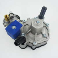Venta caliente Cng LPG presión reducir válvula regulador reductor para vehículo de Gas Auto coche convertidor secuencial Kit generador piezas de motor