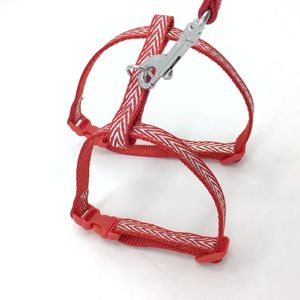 Tali <span class=keywords><strong>Harness</strong></span> kucing XS pola bunga yang indah fitur terpisah dapat disesuaikan untuk hewan peliharaan kecil warna biru ungu untuk anjing juga - Product Image 2