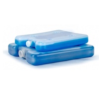 Bloc de glace réutilisable CSI de haute qualité pour boîte à lunch isotherme, conservation des aliments frais, gel réfrigérant longue durée, boîte isotherme non toxique