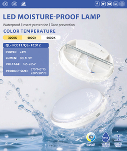 โคมไฟติดผนังสไตล์โมเดิร์น24W IP65กันน้ำสำหรับสวนรูปไข่โคมไฟติดผนังกลางแจ้ง - Product Image 6