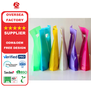 Custom Printing Eco Friendly Die Cut Packaging Bag Shopping Plastic Clothing Bag for Merchandise
