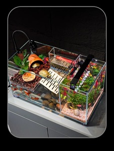 <span class=keywords><strong>Acquario</strong></span> Moderno Specializzato per Acquacoltura con Meccanismo Anti-Fuga per Allevamento <span class=keywords><strong>Tartarughe</strong></span> e Decorazione Domestica - Vendita all'Ingrosso - Product Image 6