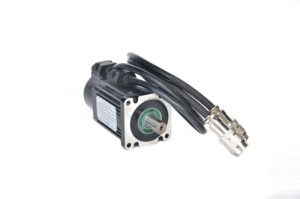 Moteur Mini Haute Performance 0,75 kW – Solutions d'Automatisation Avancées 3000 tr/min 220 V Triphasé CA 50 Hz 32 mm - Product Image 2