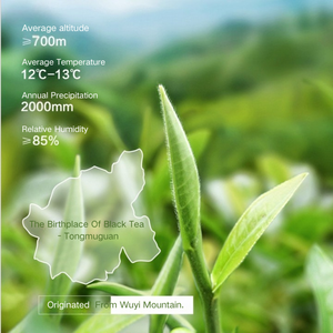 OEM/Private Label Lapsang Souchong <span class=keywords><strong>Thé</strong></span> noir Longan arôme Feuilles de bronze Boîte de <span class=keywords><strong>thé</strong></span> en vrac Commande en gros personnalisée <span class=keywords><strong>Thé</strong></span> de santé fermenté Nouveau - Product Image 2