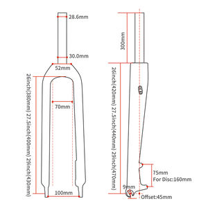Fourche de VTT <span class=keywords><strong>Toseek</strong></span> Straight Xc Rigide à Frein à Disque 9*100mm QR en Fibre de Carbone 29er Haute Résistance Ultra Légère - Pièces de Vélo de Montagne - Product Image 2