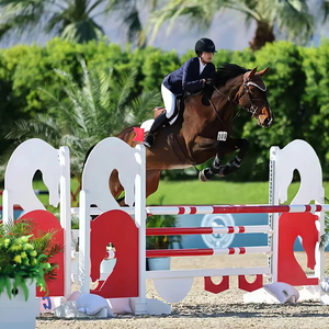 <span class=keywords><strong>Ostacoli</strong></span> Equestri Professionali dal Design Elegante, Costruiti per Scuole di Equitazione, Campi di Allenamento e Mostre Ippiche - Product Image 1