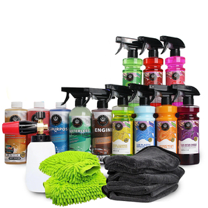 Kit OEM ODM Personalizzato da Fabbrica per la Cura e il Lavaggio dell'Auto da 12 Pezzi Set per Detailing Auto con Panno in Microfibra Guanto da Lavaggio e Detergente per Ruote e Motore - Product Image 6