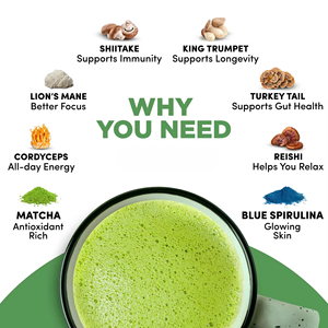 Superalimentos OEM USDA Orgánicos, Matcha con 6 Hongos Adaptógenos, Matcha de Grado Ceremonial, Bolsa Nueva con Cuchara, 6 Hongos Adaptógenos - Product Image 3