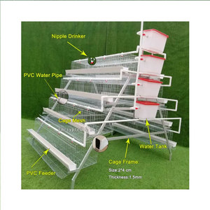 Cages à poules pondeuses 4 niveaux type A, cages en batterie pour 128 poules, production d'œufs en ferme avicole, galvanisées - Product Image 2