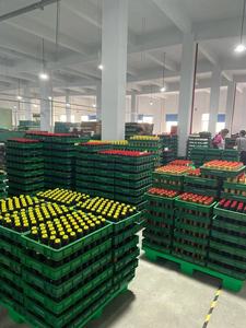 210D/ <span class=keywords><strong>3</strong></span> 250D/<span class=keywords><strong>3</strong></span> Chỉ May 1 Kg <span class=keywords><strong>100</strong></span>% Chỉ Nhuộm Ni Lông Chỉ Tơ Tự Nhiên Để Thêu Và May - Product Image 6