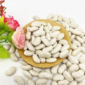 รูปร่างยาวถั่วแห้งถั่วสีขาวราคาขายส่งถั่วสีขาวที่มีคุณภาพดี - Product Image 3