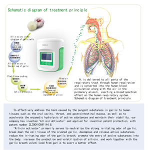 Máquina de Terapia de Inhalación con Esencia de Ajo de un Solo Paso para EPOC, Bronquitis, Quistes Pulmonares y Edema Pulmonar - Product Image 6