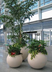 Vasi per Piante a Forma di Uovo Leggeri e Bianchi in Stile Europeo, in Fibra di Vetro, per Giardini, Hotel e Ville, Prezzo di Fabbrica - Product Image 2