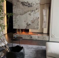 Chimenea eléctrica de vapor de Venta caliente
