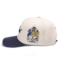 Gorra de Béisbol Deportiva de Algodón de 5 Paneles de Alta Calidad Personalizada con Bordado 3D Bicolor