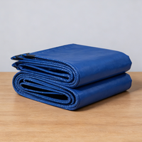 Rouleau de bâche PE enduite personnalisable 100gsm 200gsm avec œillets, robuste et résistant aux déchirures pour abri de voiture et camping
