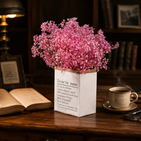 Bunga Gypsophila Baby's Breath Kering Terlaris untuk Dekorasi Vas Rumah, Buket Pernikahan, Kotak Hadiah, dan Rangkaian Bunga